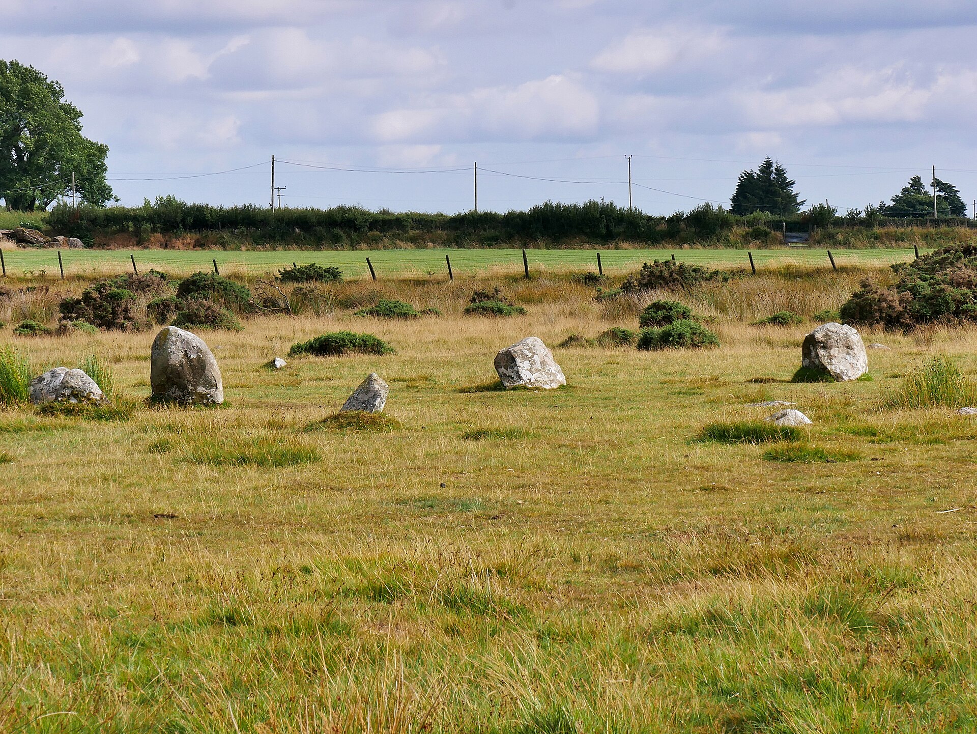The complete ring of sixteen low stones at Gors Fawr
